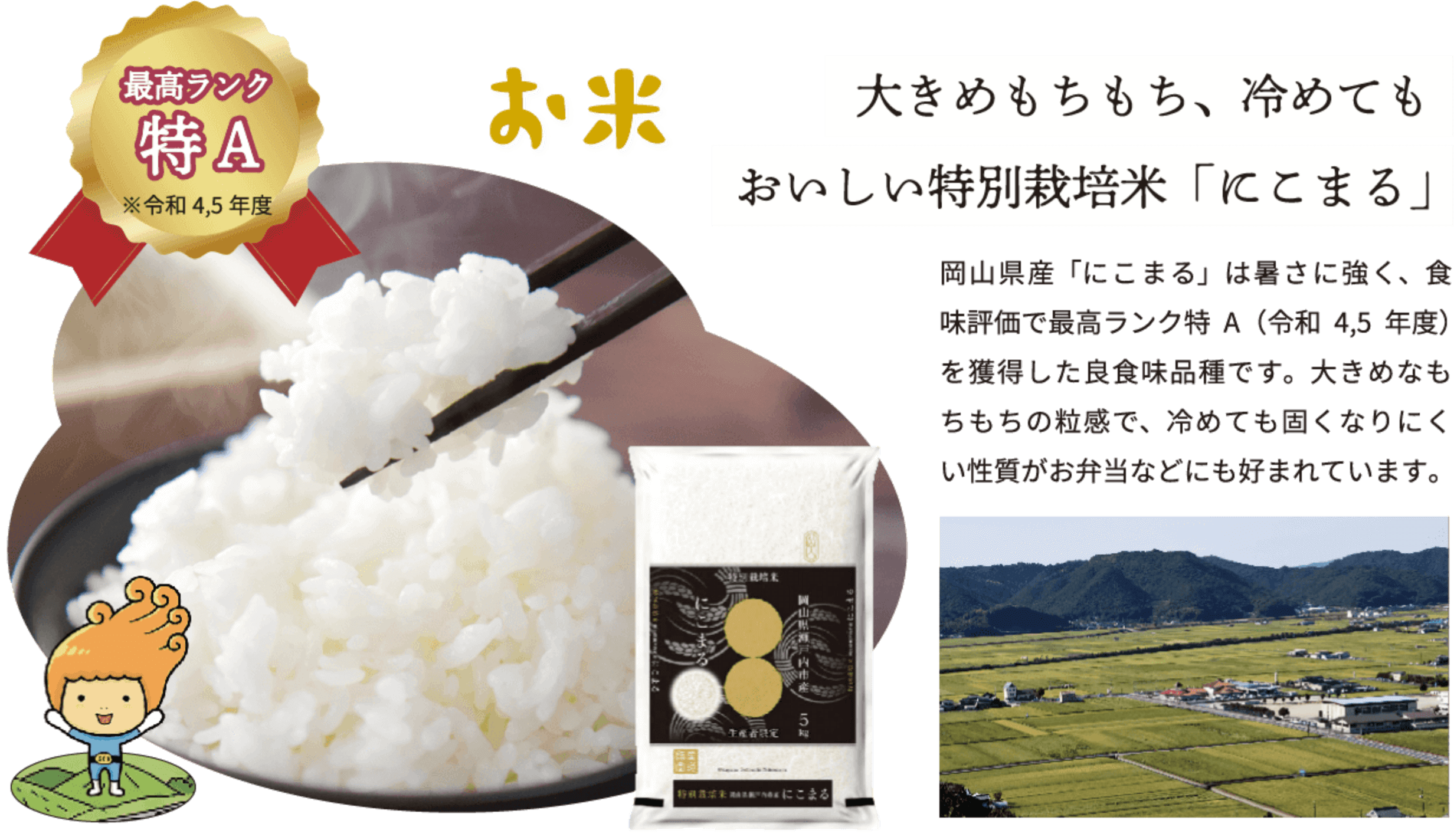 大きめもちもち、冷めてもおいしい特別栽培米「にこまる」